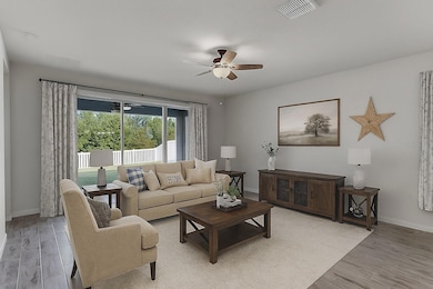 12905 Satin Lily Dr, Riverview, FL 33579 - photo 5