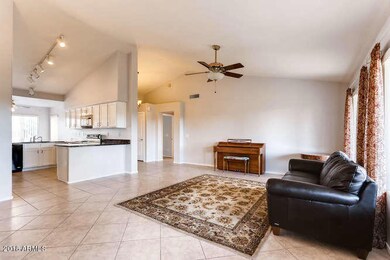 Living Room - Kitchen