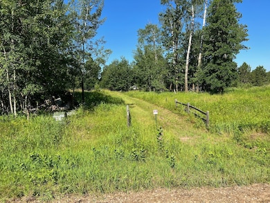 1201 Tyler Ave NE, Bemidji, MN 56601 - photo 4