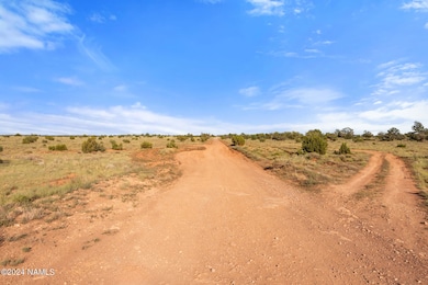 871 N Northland Rd unit D, Williams, AZ 86046 - photo 4