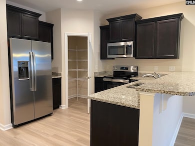 945 Bergenfield Ln, Chapin, SC 29036 - photo 4