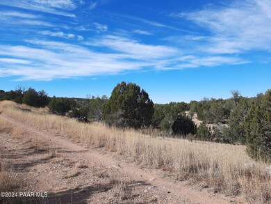 32563 Ancho Rd, Seligman, AZ 86337 - photo 6