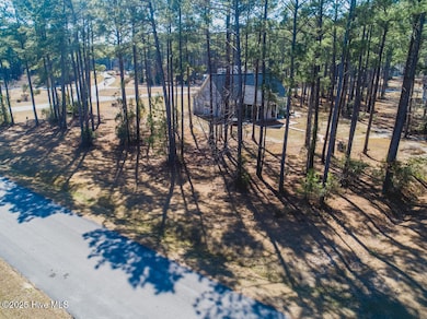 59 Chickory Ln, Minnesott Beach, NC 28510 - photo 2