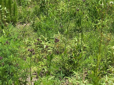 315 Gulde Rd, Trout, LA 71371 - photo 6