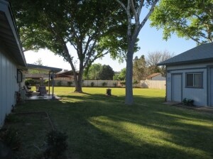 Backyard