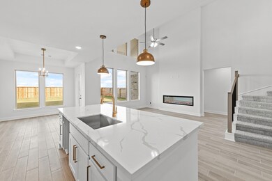 31311 Wildflower Field Ct, Fulshear, TX 77423 - photo 6