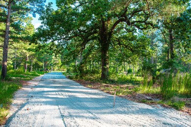 7185 Bill Dorn Rd, Appling, GA 30802 - photo 5