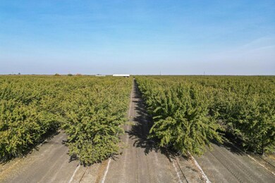 0 W Springfield Ave, San Joaquin, CA 93660 - photo 7