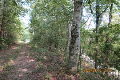 257 Selph Rd, Stewart, TN 37175 - photo 4