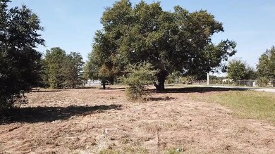 0 Keene Rd, Umatilla, FL 32784 - photo 7