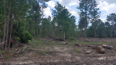 0 Tbd Little Happy Lane Lot 70 unit 2-5048, Deridder, LA 70634 - photo 4