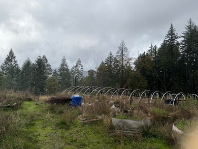 0000 Saber Tooth Rd, Willow Creek, CA 95525 - photo 5