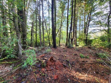 0 Kreiger Ln unit 122 24581015, Port Orford, OR 97465 - photo 6