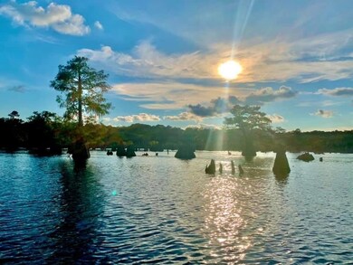 Nearby Dead Lakes