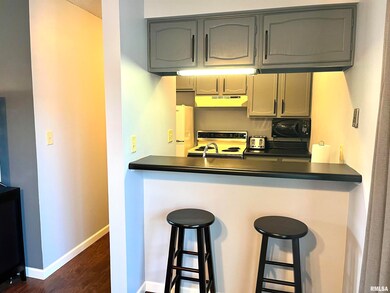 30 Coventry Ln unit 1, Muscatine, IA 52761 - photo 6