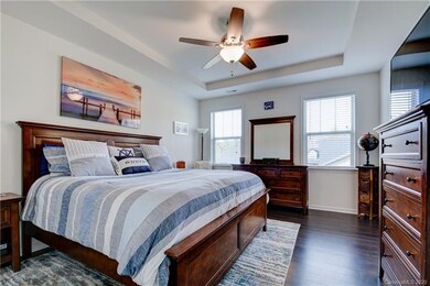 Large owners' suite with tray ceiling accent