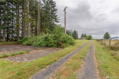 431 Burnt Ridge Rd, Onalaska, WA 98570 - photo 3