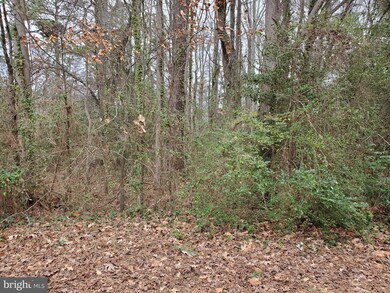 Lot 68 Cedar Ln, Washington, VA 22443 - photo 2