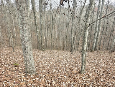 0 Drew Ct unit RTC3050632, Smithville, TN 37166 - photo 7