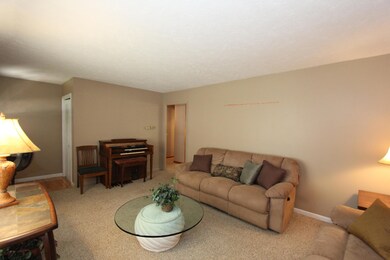 8 Sycamore Dr, Kimberling City, MO 65686 - photo 3