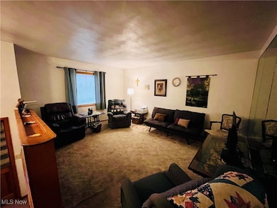 52 Arroyo Village Rd, New Cumberland, WV 26047 - photo 4