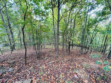 TBD Morning Side Trail, Fancy Gap, VA 24328 - photo 2