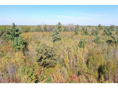 XXX Bluebird Trail Trail, Webster, WI 54893 - photo 5