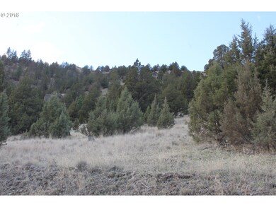 0 S Adam Dr unit 18349443, Canyon City, OR 97820 - photo 2