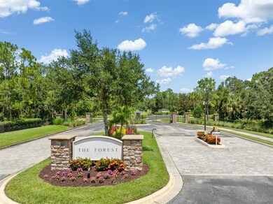 9435 Swaying Branch Rd, Sarasota, FL 34241 - photo 6