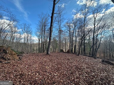 200 Mincey Acres Dr, Murrayville, GA 30564 - photo 7