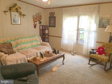 1306 E Rocky Branch Rd, Luray, VA 22835 - photo 5