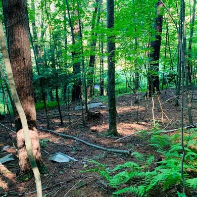 0 Edsel Hollow Trail unit 606211, Vesuvius, VA 24483 - photo 4