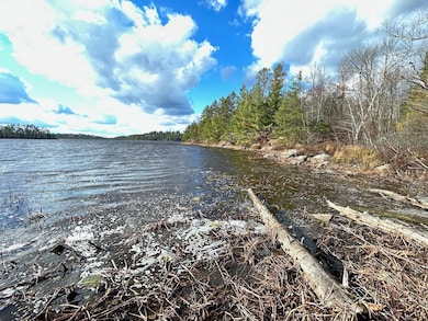 View of water feature