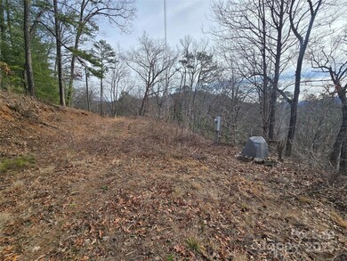 425 Crocus Ln, Dillsboro, NC 28779 - photo 4