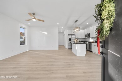 1116 Hiawassee Ave, Knoxville, TN 37917 - photo 5