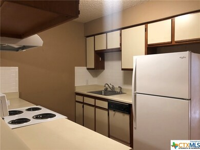 1409 N Bishop St unit 6, San Marcos, TX 78666 - photo 6