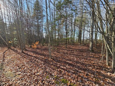 M5, L87-1 Main St, Palmyra, ME 04965 - photo 6