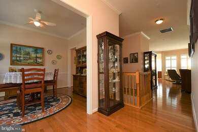 6730 Holly Farm Ln unit 17, Warrenton, VA 20187 - photo 6