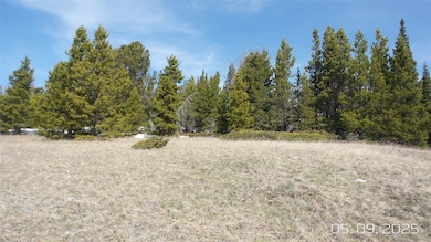 TBD Tbd Hidden Treasurer, White Sulphur Springs, MT 59645 - photo 5