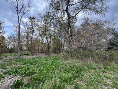 Tract 11 Megan Dr, Fairchilds, TX 77461 - photo 6