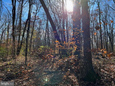 0 Twin County Rd unit PALA2027672, Morgantown, PA - photo 2