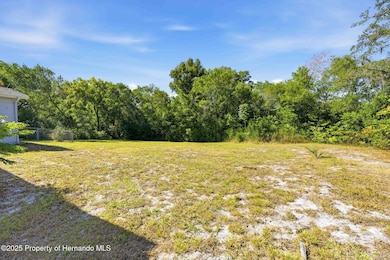 4533 Lakeshore Ave, Spring Hill, FL 34606 - photo 4