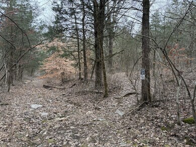 0 Cook Ln unit RTC3054661, Gainesboro, TN 38562 - photo 2