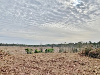 000 Maggie Johnson Rd, Tylertown, MS 39667 - photo 4