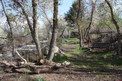 460 NE 4th St, Cedaredge, CO 81413 - photo 7