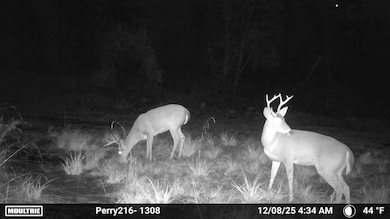 -- US Highway 98, Beaumont, MS 39423 - photo 2