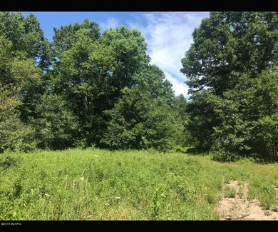 0 N Centerline Rd unit 18032500, White Cloud, MI 49349 - photo 3