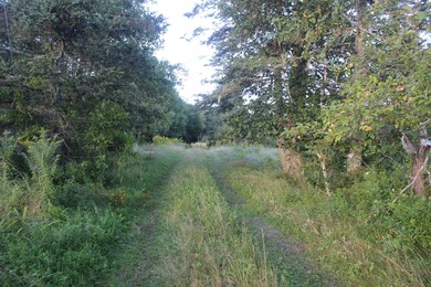 IMG_3725