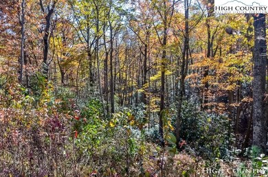 Lot 8 Little Laurel Rd, Boone, NC 28607 - photo 2