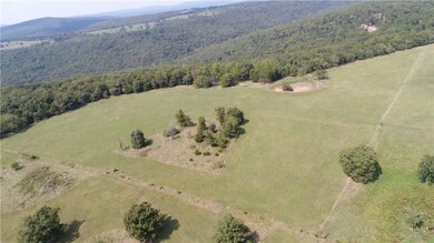 TBD Heflin Thomas Farm Rd, West Fork, AR 72774 - photo 4